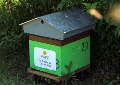 parrainer ruche Abeille Rucher du Marandou miel ruche apiculture fleur dordogne périgord bienvenue à la ferme