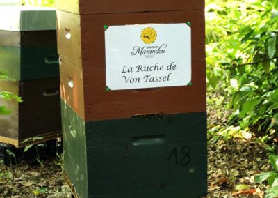 parrainer ruche Abeille Rucher du Marandou miel ruche apiculture fleur dordogne périgord bienvenue à la ferme