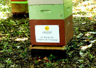 parrainer ruche Abeille Rucher du Marandou miel ruche apiculture fleur dordogne périgord bienvenue à la ferme
