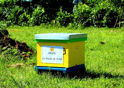 parrainer ruche Abeille Rucher du Marandou miel ruche apiculture fleur dordogne périgord bienvenue à la ferme