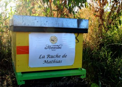parrainer ruche Abeille Rucher du Marandou miel ruche apiculture fleur dordogne périgord bienvenue à la ferme