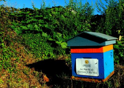 parrainer ruche Abeille Rucher du Marandou miel ruche apiculture fleur dordogne périgord bienvenue à la ferme