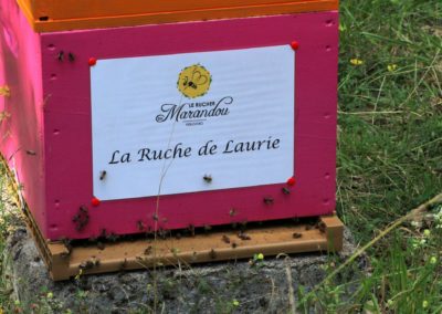 parrainer ruche Abeille Rucher du Marandou miel ruche apiculture fleur dordogne périgord bienvenue à la ferme