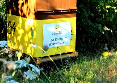 parrainer ruche Abeille Rucher du Marandou miel ruche apiculture fleur dordogne périgord bienvenue à la ferme