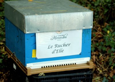 parrainer ruche Abeille Rucher du Marandou miel ruche apiculture fleur dordogne périgord bienvenue à la ferme