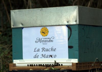 parrainer ruche Abeille Rucher du Marandou miel ruche apiculture fleur dordogne périgord bienvenue à la ferme
