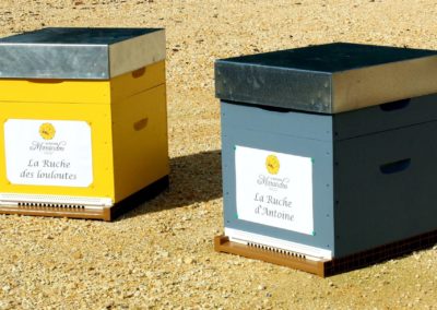 parrainer ruche Abeille Rucher du Marandou miel ruche apiculture fleur dordogne périgord bienvenue à la ferme