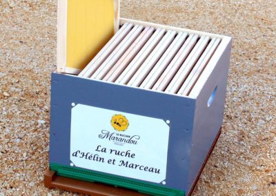 parrainer ruche Abeille Rucher du Marandou miel ruche apiculture fleur dordogne périgord bienvenue à la ferme