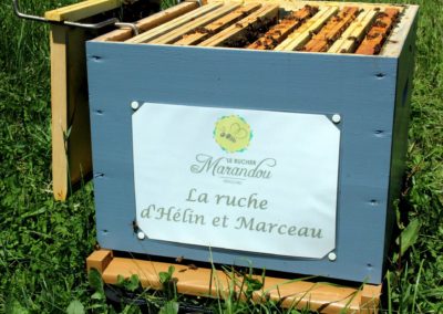 parrainer ruche Abeille Rucher du Marandou miel ruche apiculture fleur dordogne périgord bienvenue à la ferme