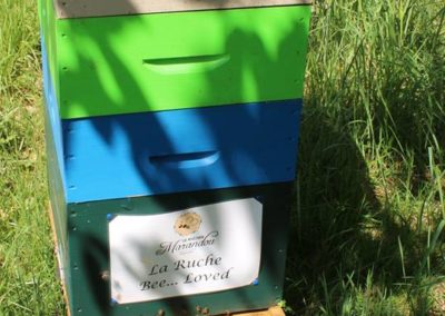 parrainer ruche Abeille Rucher du Marandou miel ruche apiculture fleur dordogne périgord bienvenue à la ferme