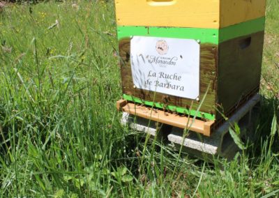 parrainer ruche Abeille Rucher du Marandou miel ruche apiculture fleur dordogne périgord bienvenue à la ferme