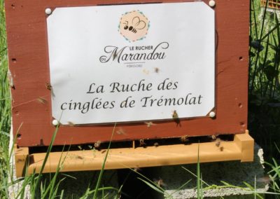 parrainer ruche Abeille Rucher du Marandou miel ruche apiculture fleur dordogne périgord bienvenue à la ferme