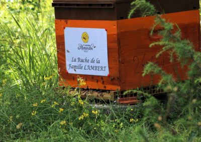 parrainer ruche Abeille Rucher du Marandou miel ruche apiculture fleur dordogne périgord bienvenue à la ferme