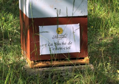 parrainer ruche Abeille Rucher du Marandou miel ruche apiculture fleur dordogne périgord bienvenue à la ferme