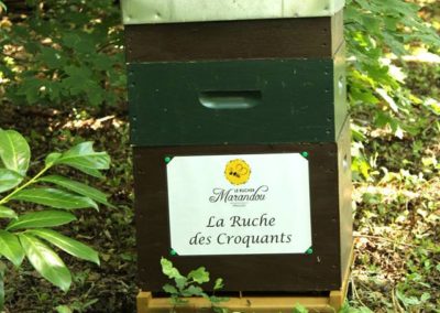 parrainer ruche Abeille Rucher du Marandou miel ruche apiculture fleur dordogne périgord bienvenue à la ferme