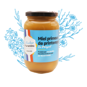 Miel primeur de printemps du Périgord dans un pot en verre, texture claire et crémeuse, fond illustré de fleurs printanières.