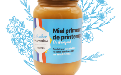 Miel primeur du Périgord – Première récolte de printemps