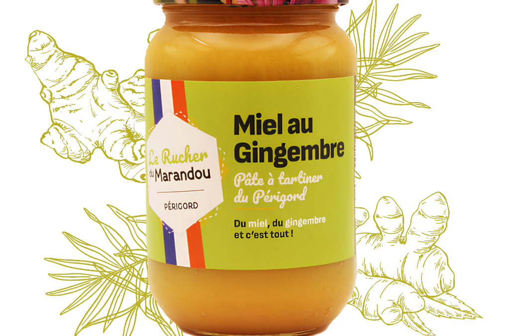 Pâte à tartiner miel au gingembre du Périgord – Artisanale, naturelle et revitalisante