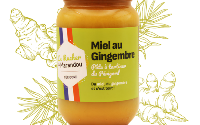Pâte à tartiner miel au gingembre du Périgord – Artisanale, naturelle et revitalisante