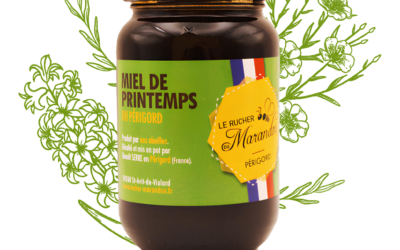 Miel de Printemps du Périgord – Saveurs Florales & Naturelles