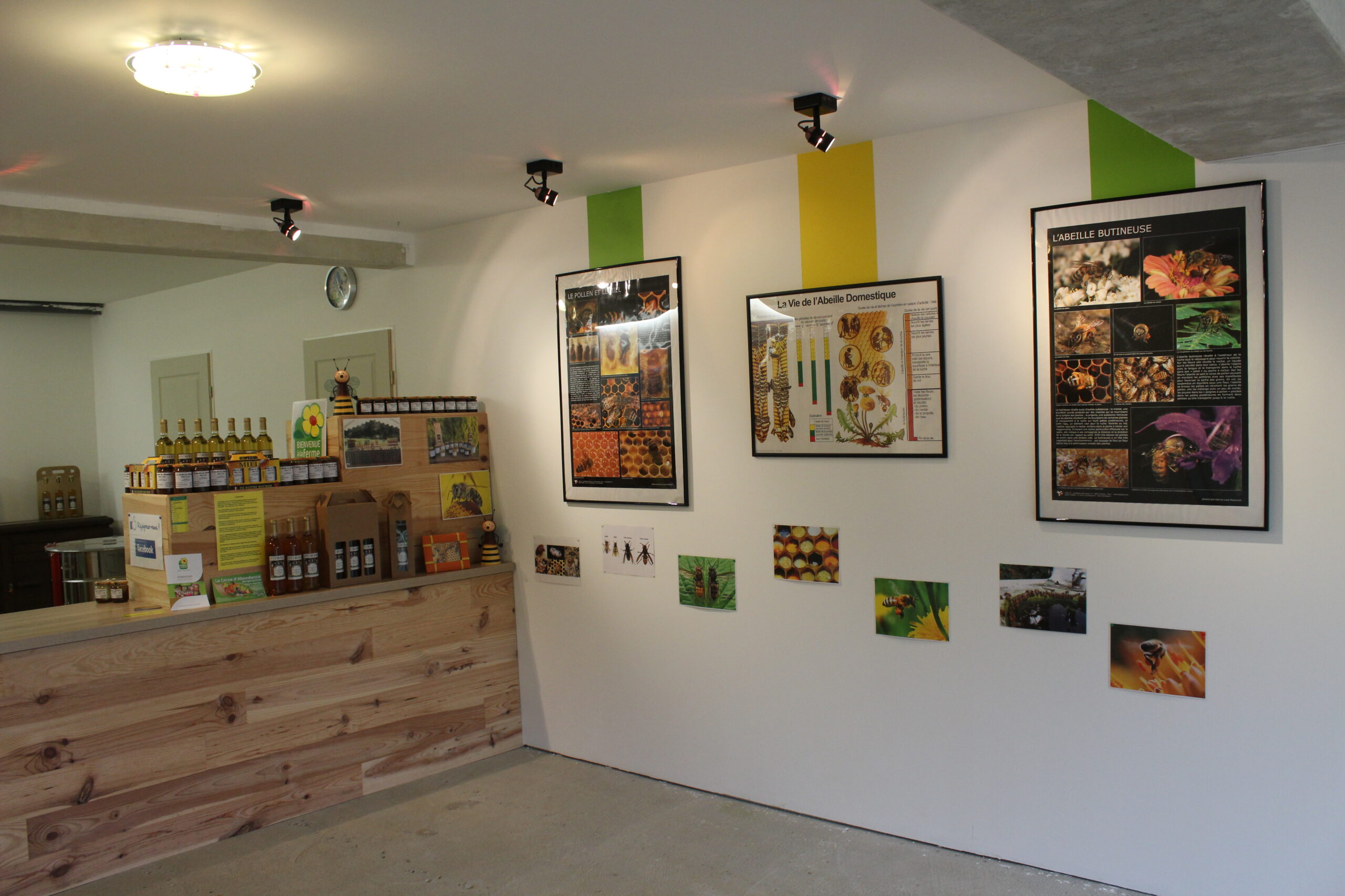 La miellerie du rucher du Marandou