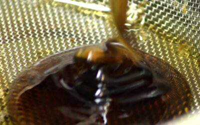 Pourquoi mon miel est déphasé ? Causes, prévention et solutions