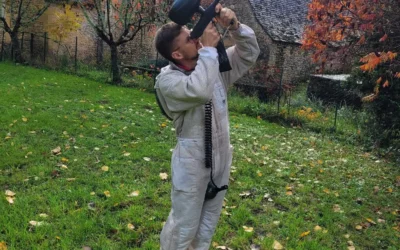 Destruction de nids de frelons asiatiques et européens en Dordogne : intervention locale autour de Saint-Avit-de-Vialard (24260)