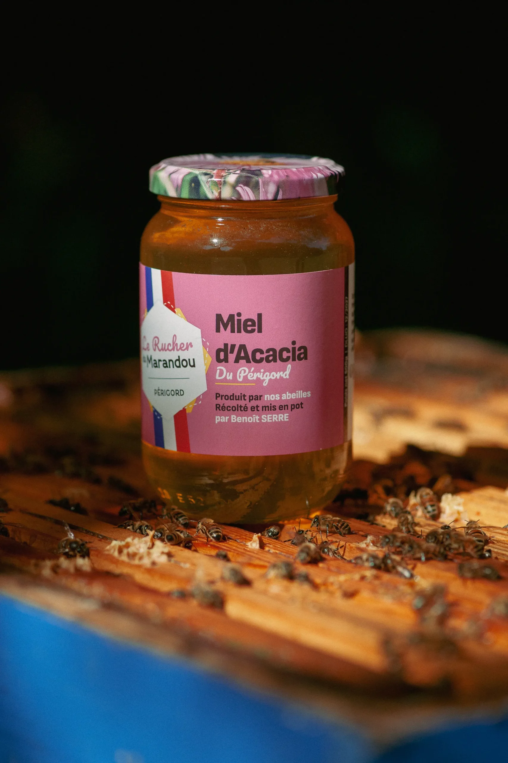 Pot de miel d’acacia du Périgord posé sur une ruche avec des abeilles – Rucher du Marandou
