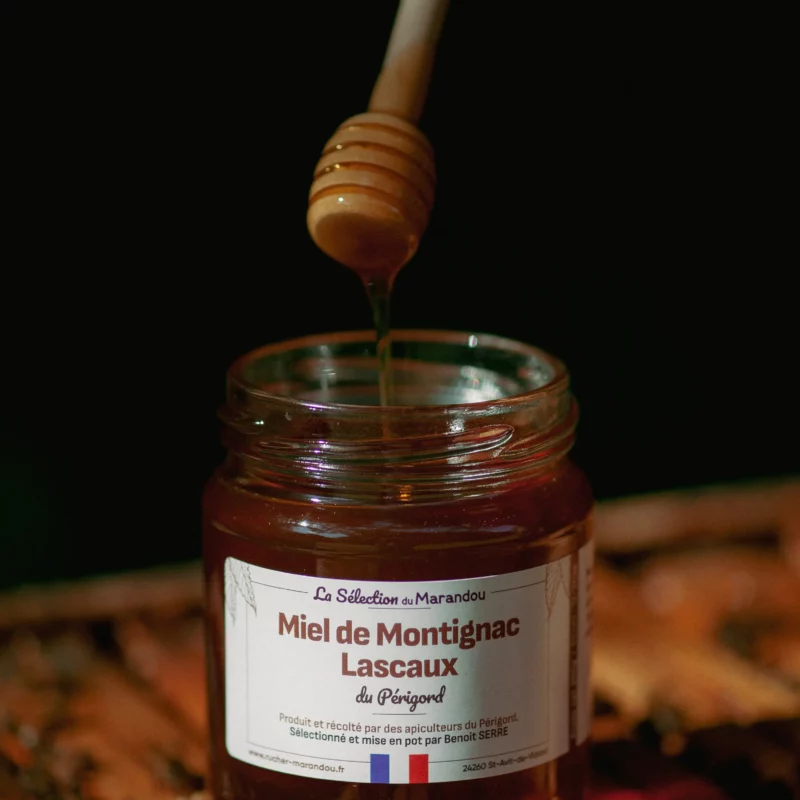 Miel de printemps du Périgord dégusté à la cuillère – apiculteur en Dordogne