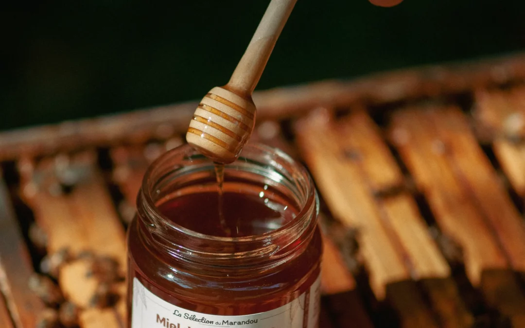 Cuillère à miel : matériaux, réactions et secrets d’un ustensile essentiel