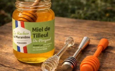 Cuillère à miel : matériaux, réactions et secrets d’un ustensile essentiel