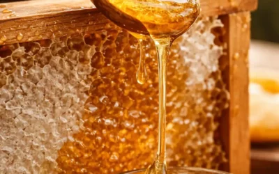 Conservation du miel : durée, cristallisation, fermentation et bonnes pratiques