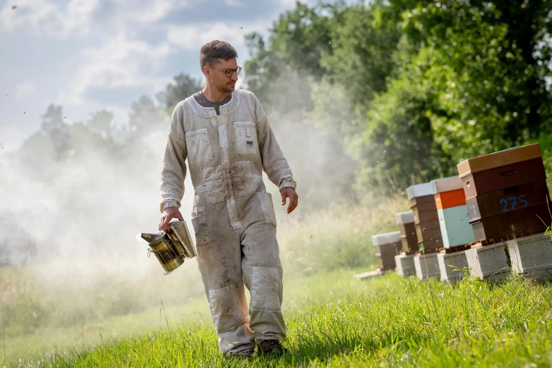 Apiculteur du Rucher du Marandou dans ses ruches en Dordogne – miel artisanal du Périgord