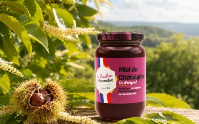 Miel de châtaignier : Une récolte généreuse au cœur des forêts du Périgord