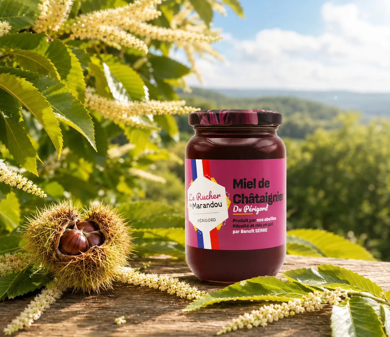 Miel de châtaignier du Périgord – Récolte 2026 Pot de miel de châtaignier du Périgord du Rucher du Marandou devant des châtaigniers en fleurs sous le soleil de Dordogne