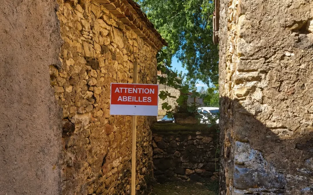 Des abeilles dans un mur en pierre : faut-il les enlever ?