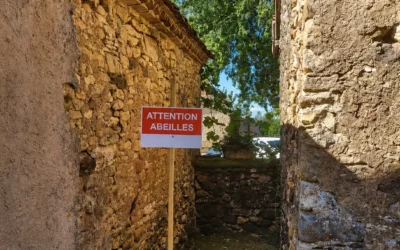 Des abeilles dans un mur en pierre : faut-il les enlever ?
