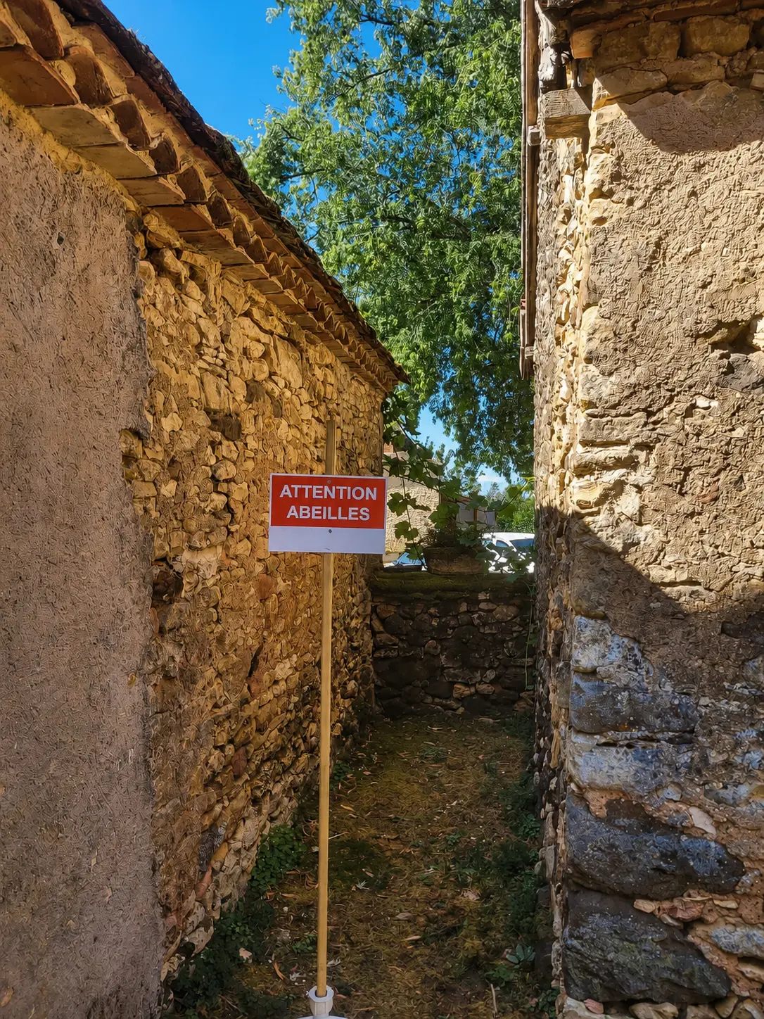 Attention, abeilles au village Panneau "Attention abeilles" installé entre deux maisons en pierre du Périgord à proximité d'une colonie d'abeilles installée dans un mur.