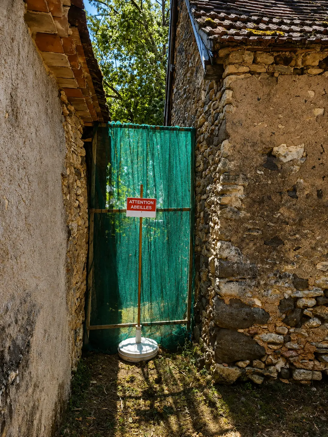 Cloison de protection installée pour sécuriser une colonie d'abeilles Cloison grillagée installée entre deux maisons en pierre afin de sécuriser le passage tout en préservant une colonie d'abeilles.
