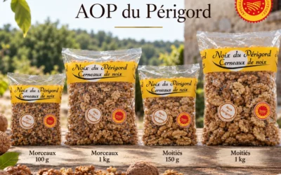Noix du Périgord AOP : découvrez nos cerneaux et leurs saveurs
